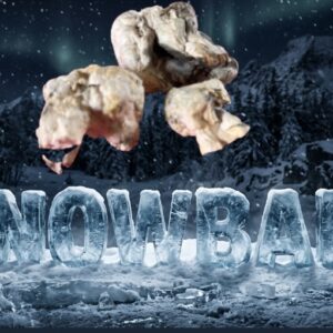 Snowball