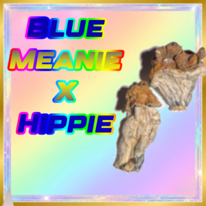 Hippie X Blue Meanie