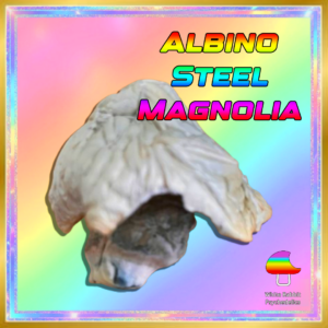 Albino Steel Magnolia