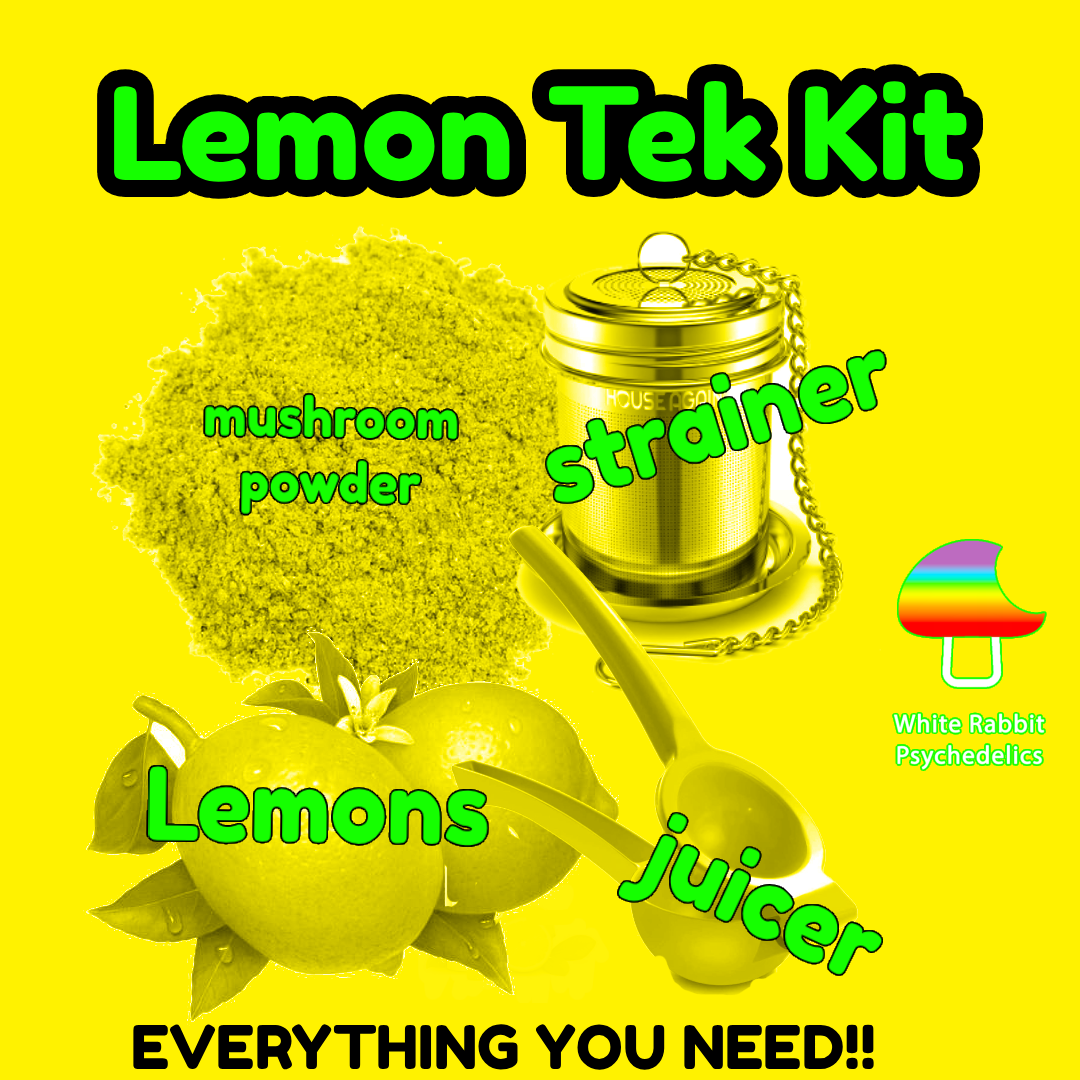 Lemon Tek Kit with mushroom powder, fresh lemons, stainless steel strainer, and yellow hand juicer. Text overlay reads “Everything You Need!!” with White Rabbit Psychedelics logo.