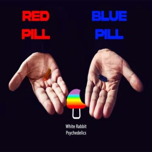 Red and Blue Pill