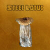 Steel Lotus | Albino Penis Envy X Steel Magnolia
