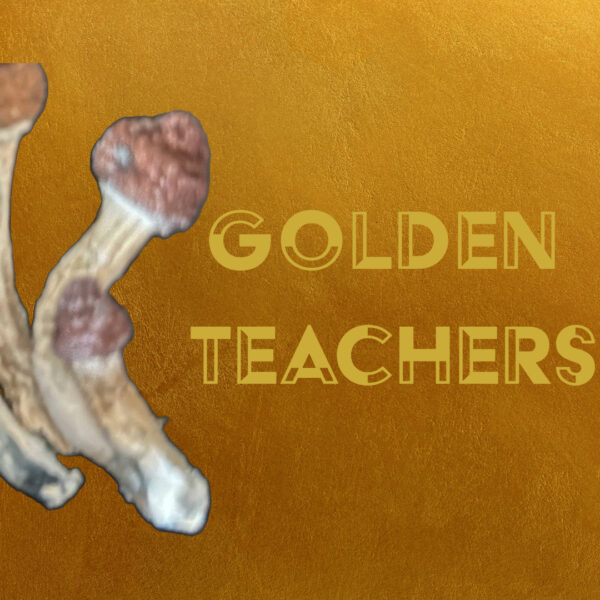 Golden Teachers